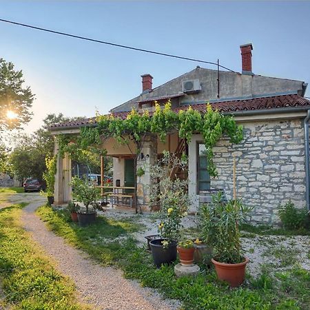 Rural Apartment Geja Umag Extérieur photo
